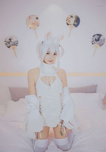 猴哥在线观看免费高清电视剧