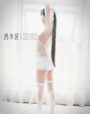 与凤行电视剧免费观看