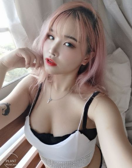 教师情事