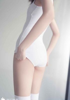 银和公棚赛鸽公棚