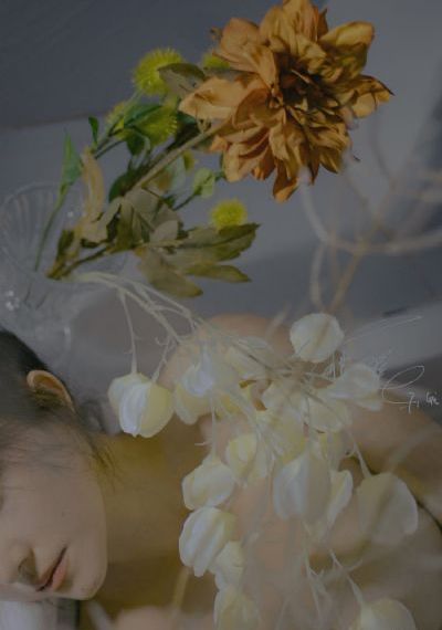 蓝白红三部曲之红